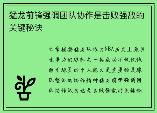 猛龙前锋强调团队协作是击败强敌的关键秘诀