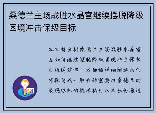 桑德兰主场战胜水晶宫继续摆脱降级困境冲击保级目标