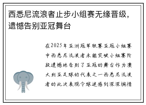 西悉尼流浪者止步小组赛无缘晋级，遗憾告别亚冠舞台