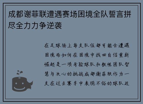 成都谢菲联遭遇赛场困境全队誓言拼尽全力力争逆袭